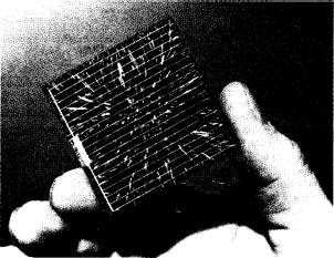 esemplare di cellula solare di forma quadrata.